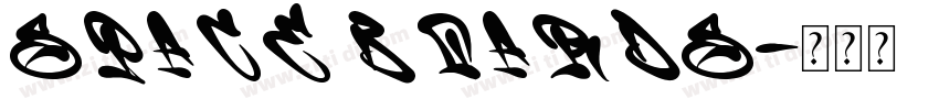 SPACE BOARDS字体转换